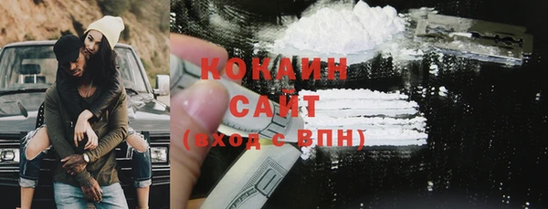 хмурый Новозыбков