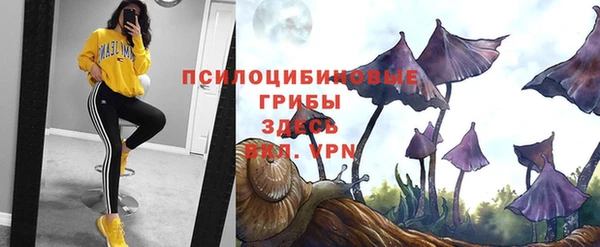 а пвп мука Алзамай